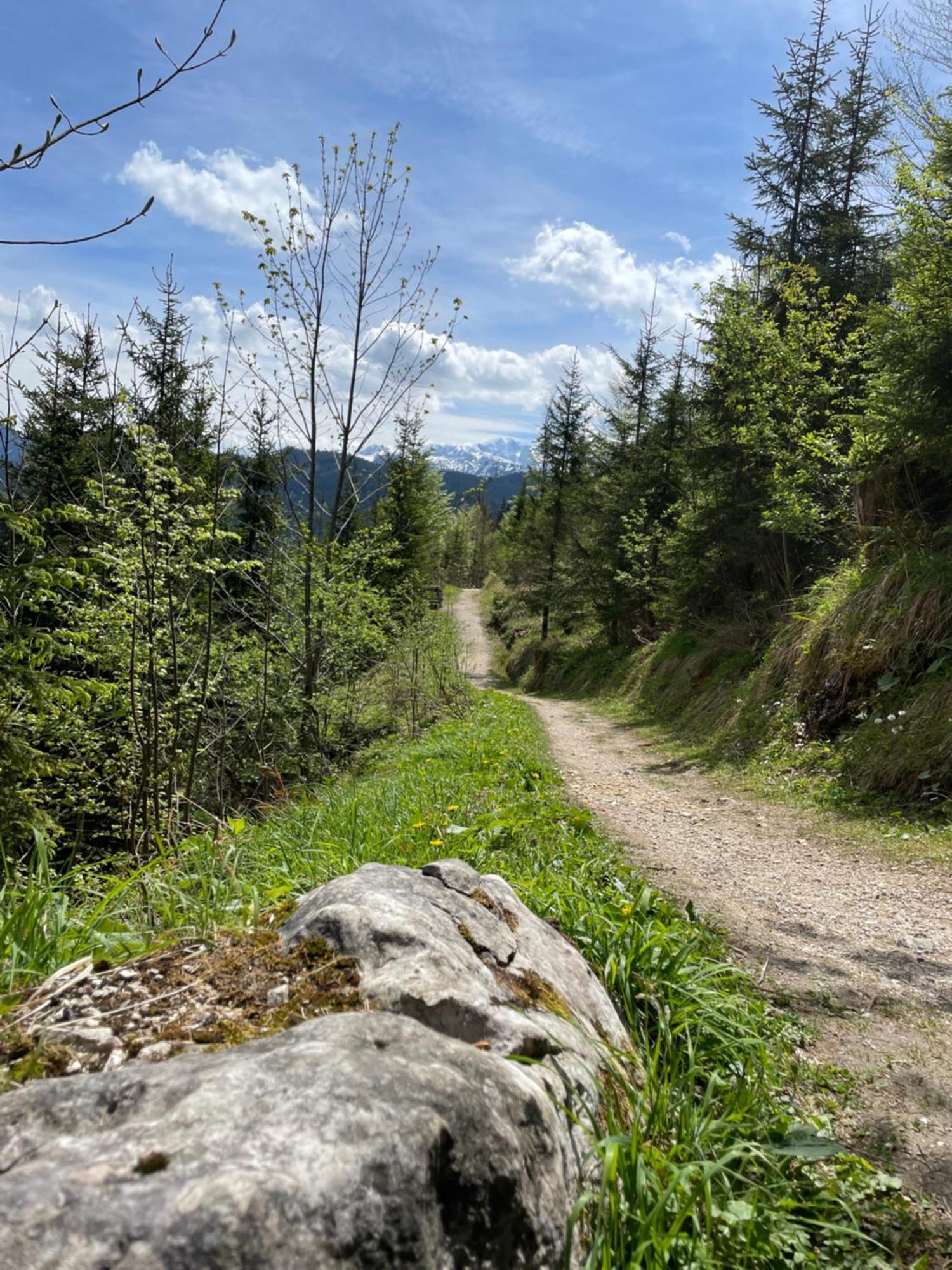 Loft Kraemerhaus Annaberg, Dachstein West מראה חיצוני תמונה